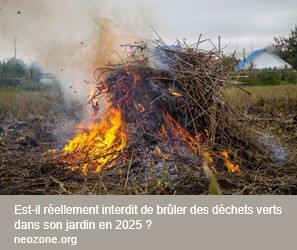 Brûler des décheets verts