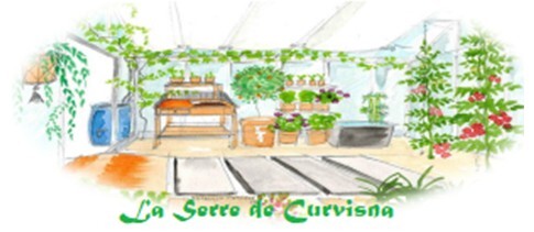 Logo Serre Curvisna