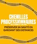 Chenilles